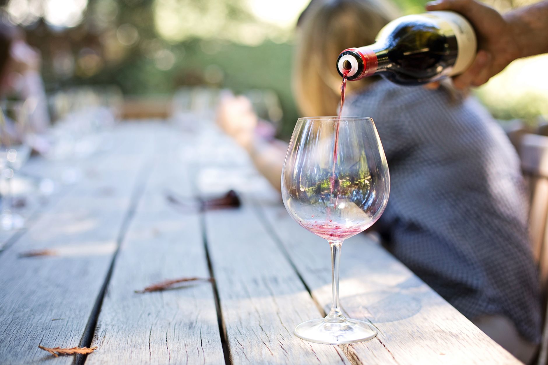 Viñedos y copas de vino en Mendoza