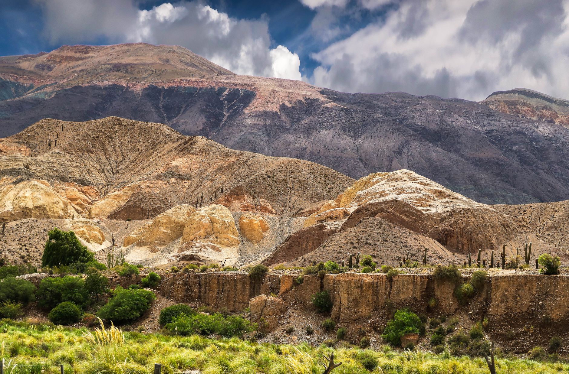 Paisaje de cerros rojizos y cactus en Salta